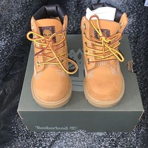 Timberland classic waterproof Boot in color wheat nubuck